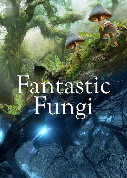 Fungos Fantásticos assistir online grátis
