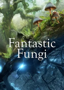 Fungos Fantásticos