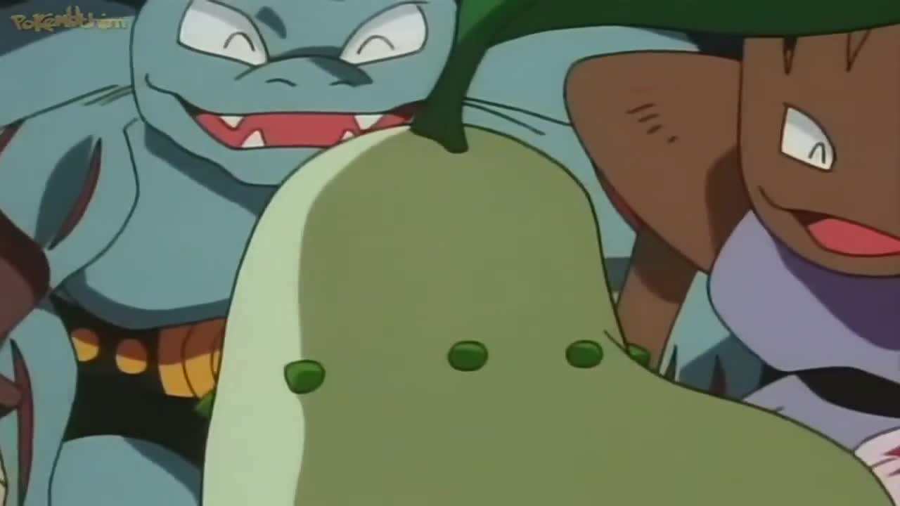 Pokémon The Series: The Johto Journeys Episódio 20