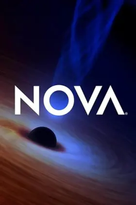 Nova assistir online grátis