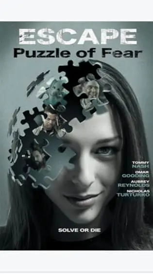 Pôster de O Enigma do Medo (2020)