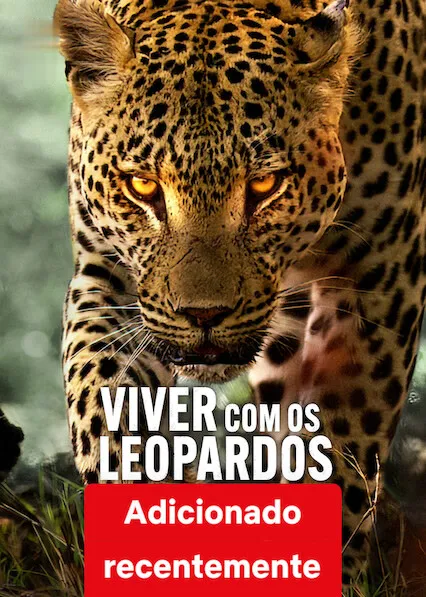 A Vida dos Leopardos