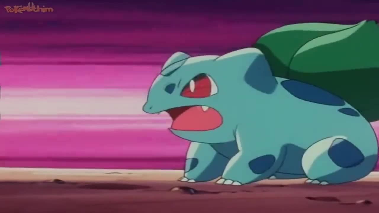 Pokémon The Series: Johto League Champions Episódio 19