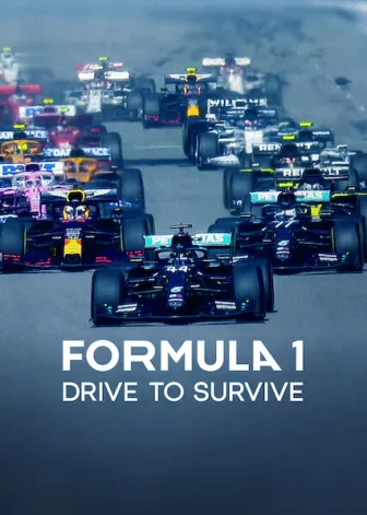 F1: Dirigir para Viver