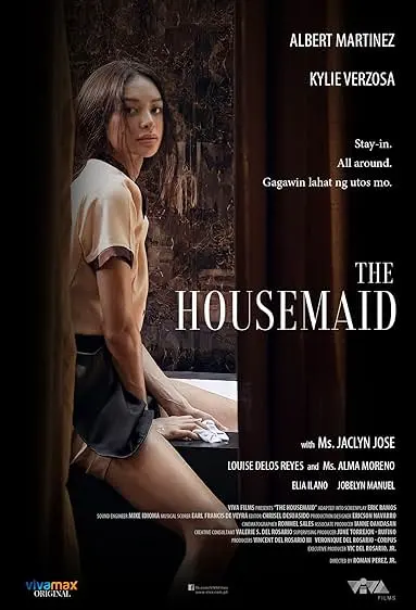 Pôster de The Housemaid (2021)