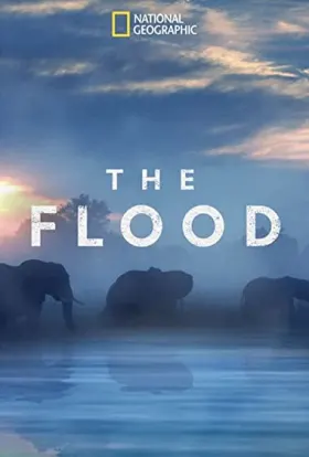 Delta do Okavango: Paraíso das Águas - Filme grátis no Cinegato