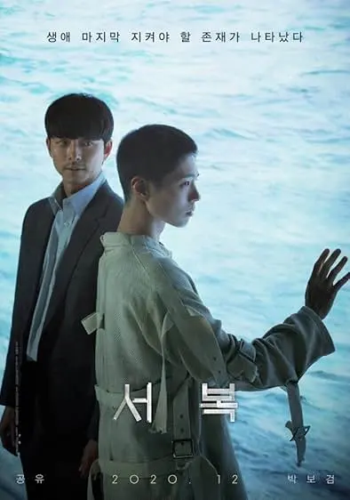 Movie Poster: Seo Bok