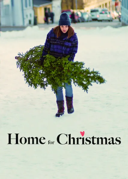 TV series poster: Namorado de Natal