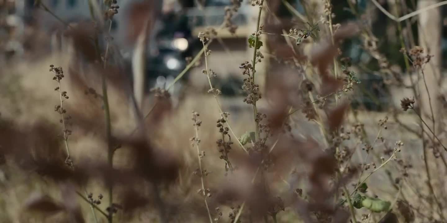 Histórico Criminal Episódio 4