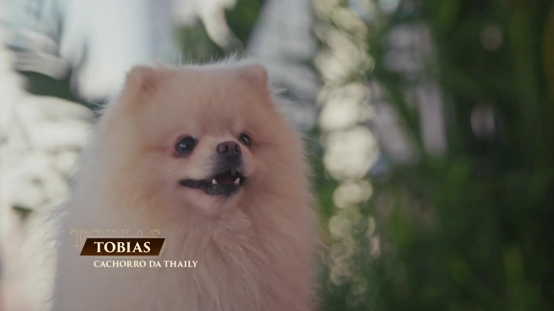 Poderosas do cerrado Episódio 6