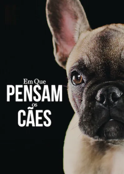 Dentro da Mente de um Cachorro