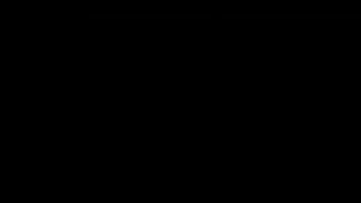 E13