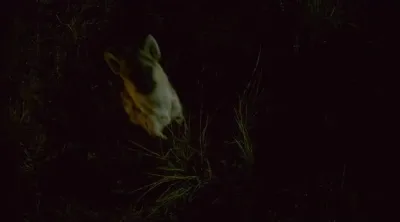 E3.A Quiet Place