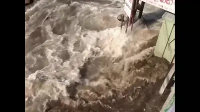 Tsunami: Corrida Contra o Tempo-E3