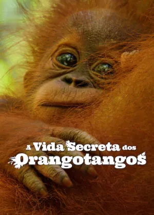 Capa de A Vida Secreta dos Orangotangos