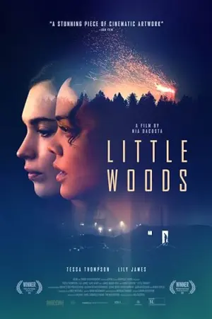 Capa de Passando dos Limites
