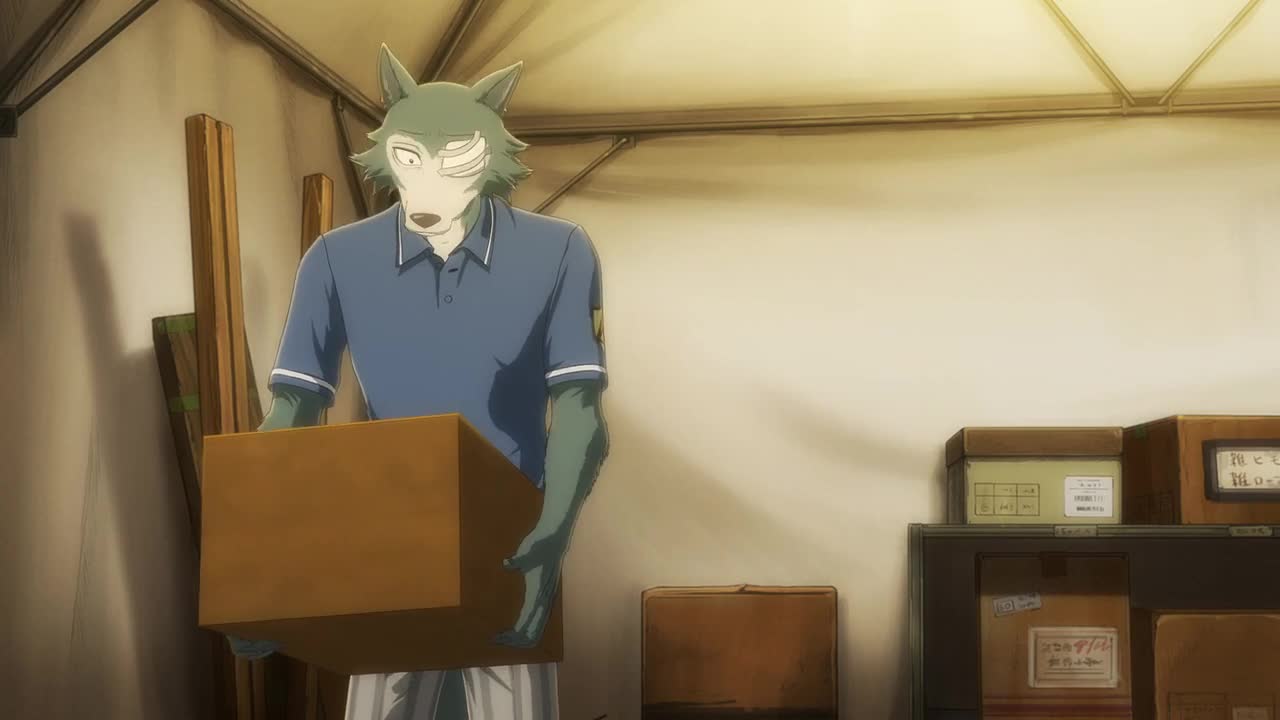 BEASTARS - O Lobo Bom Episódio 12