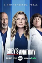 Anatomia de Grey