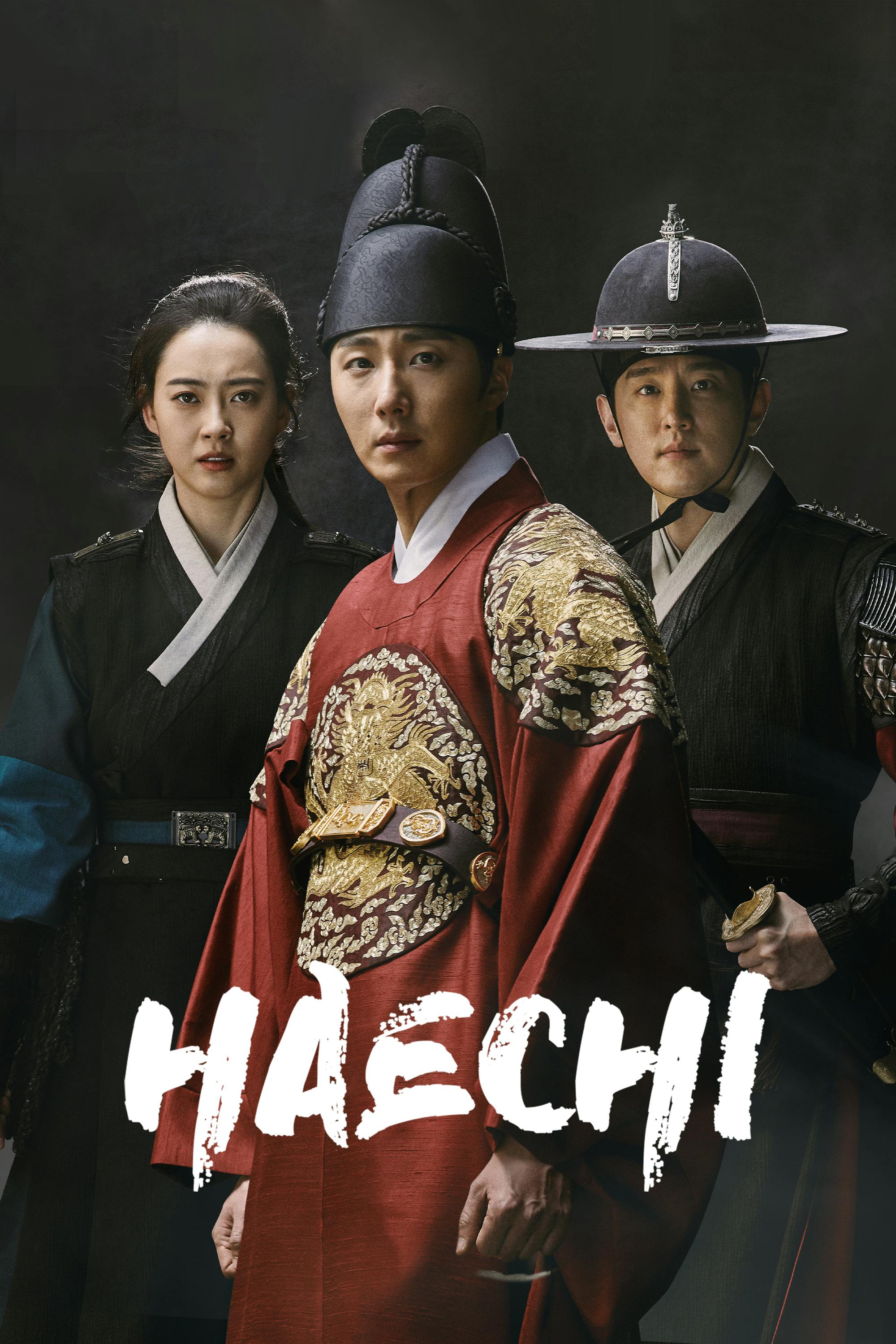 Haechi assistir online grátis