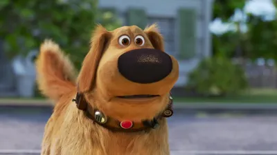 A Vida do Dug-E4.Flowers