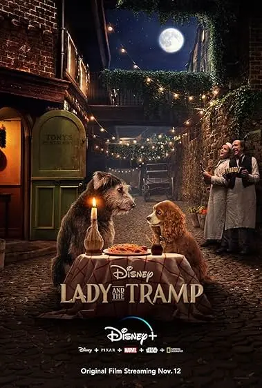 Capa de A Dama e o Vagabundo