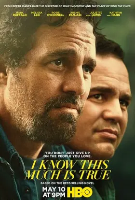 I Know This Much Is True - Série completa grátis no Cinegato