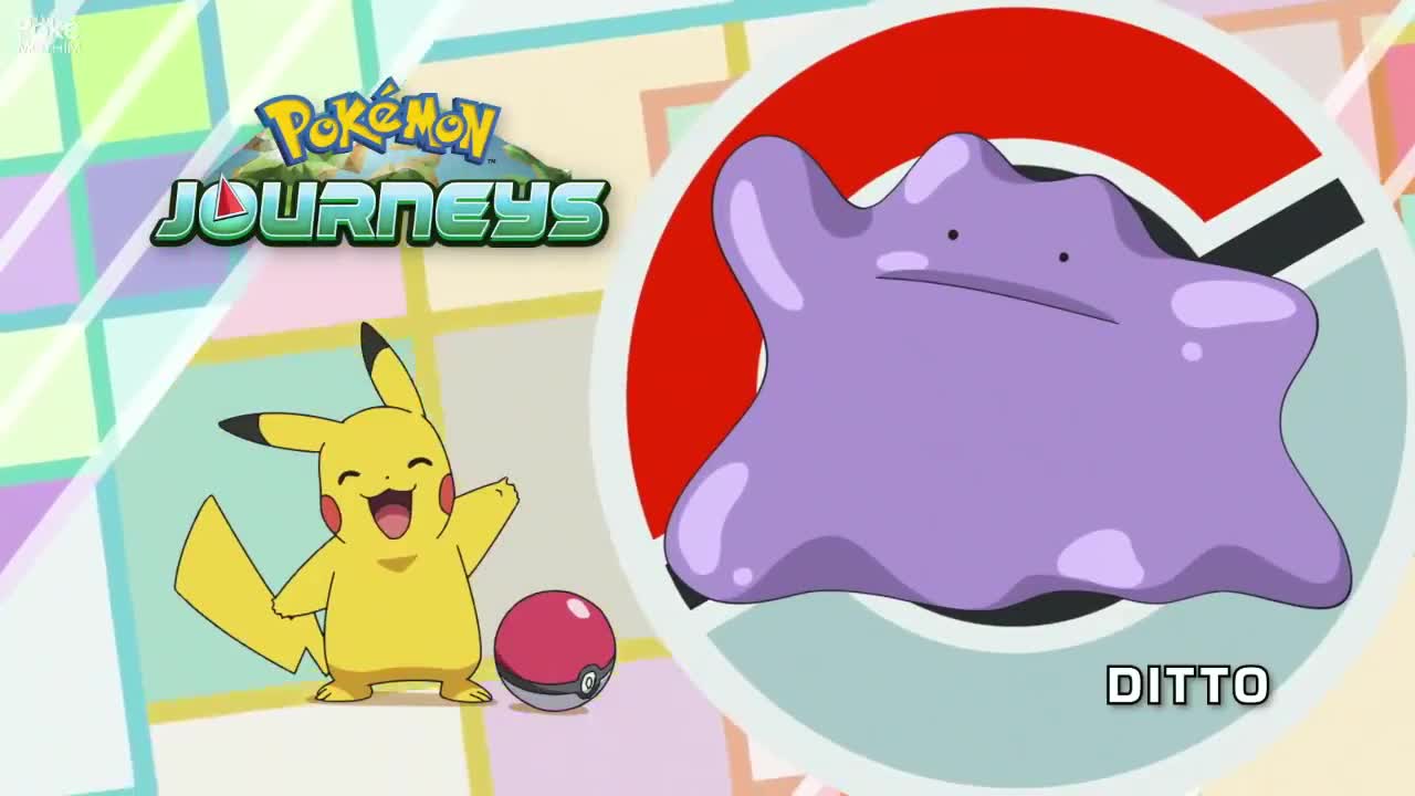 Pokémon The Series: Journeys Episódio 19
