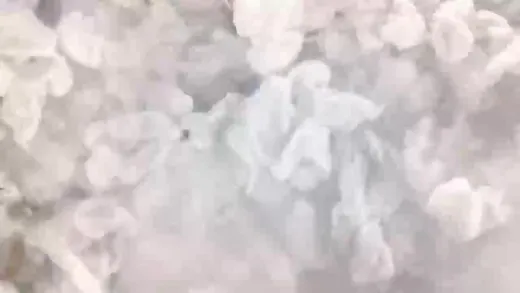 E7