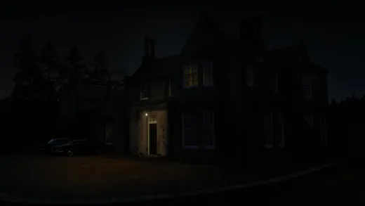 E13.Dragonfly in Amber