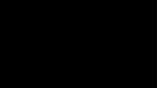 E13