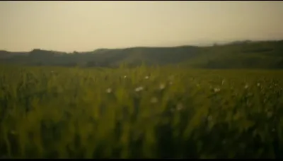 Terra Amarga-E13