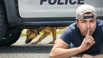 Mark Rober: CrunchLabs-Episódio 4: Como fugir de um cachorro policial