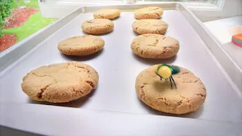 Está muito quente / O barulhão / Aranha saltadora