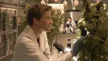 Weeds-A oito quilômetros do bem