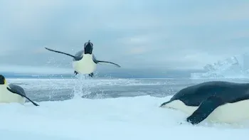 Oceano Antártico