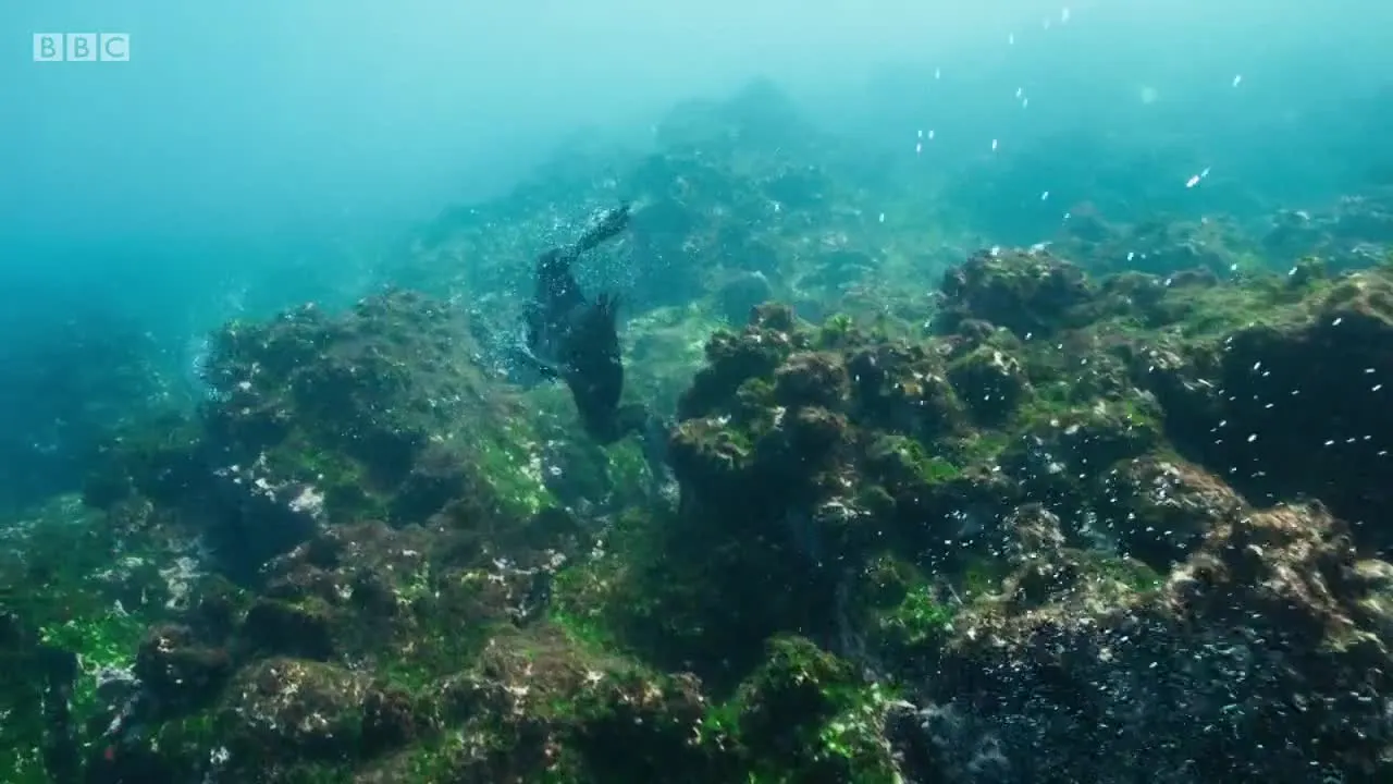 E4.Oceans