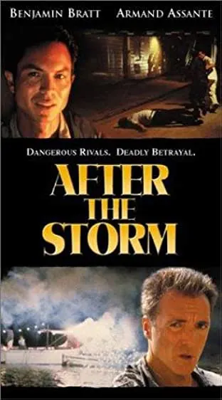Depois da Tempestade