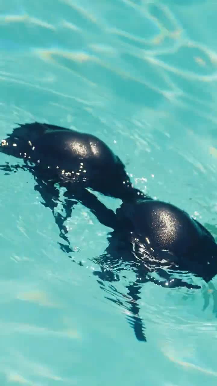 Grávida dos Gêmeos do Bilionário, O Amor Começa Episódio 2
