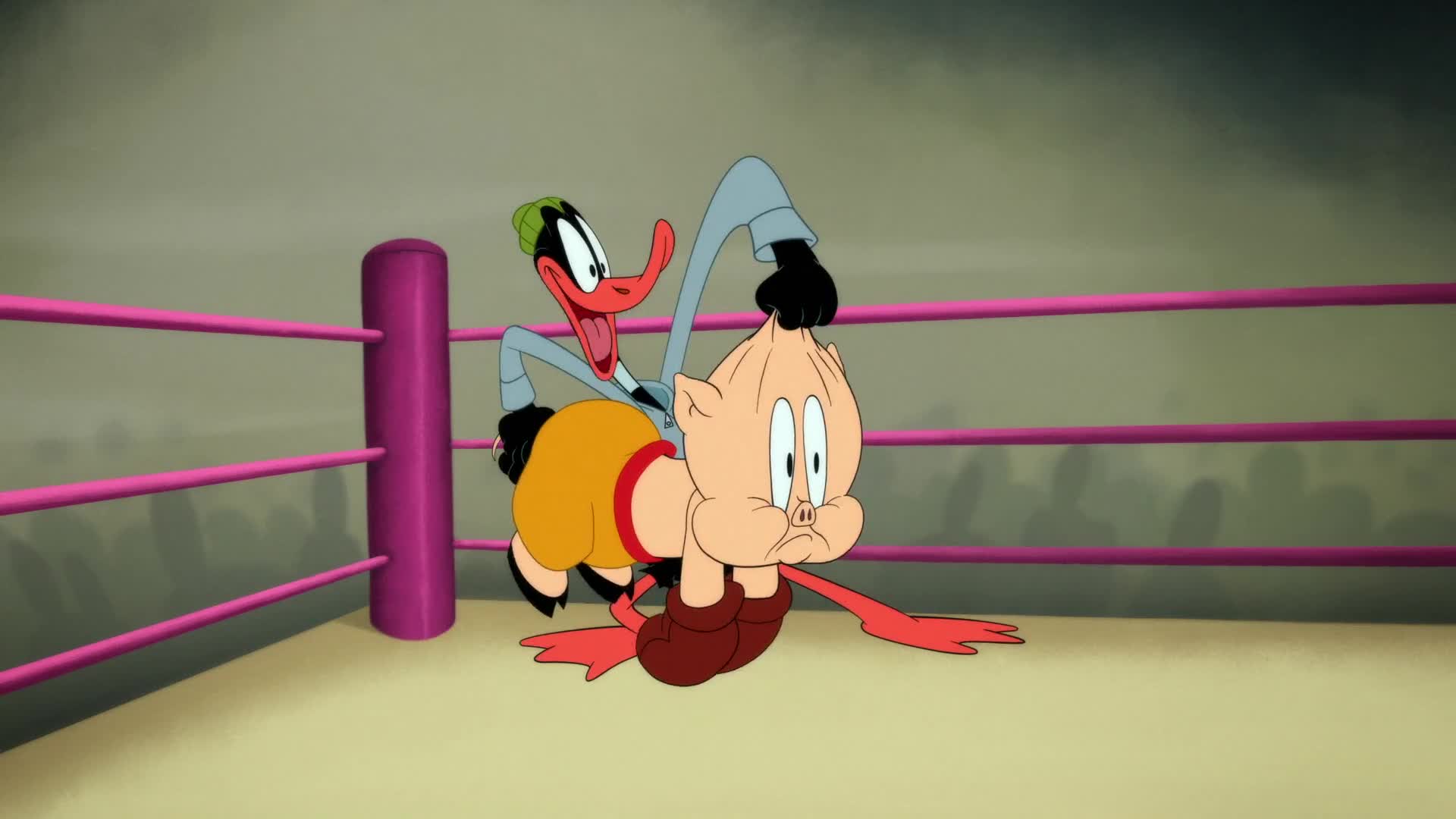Looney Tunes Cartoons Episódio 3