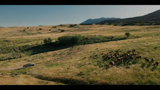 E5.Cowboys and Dreamers