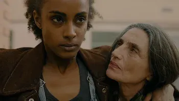 Zona de Separação-Últimos dias do presente
