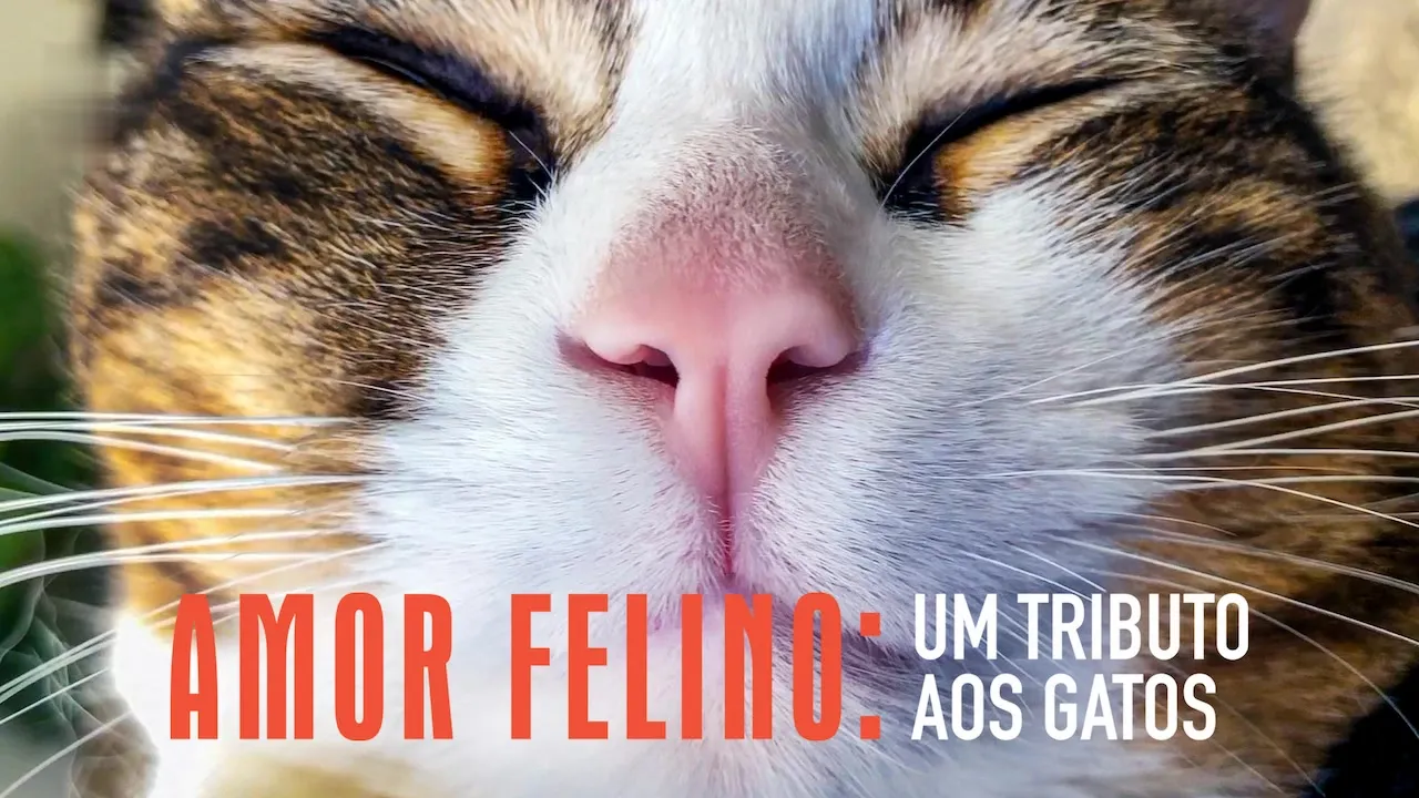 Movie Poster: Para os Felinos que Amamos