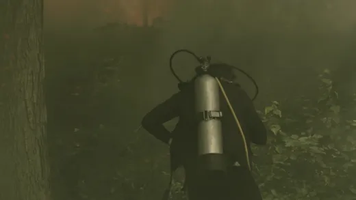 E8.The Scuba Diver