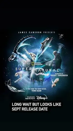 Super/Natural assistir online grátis