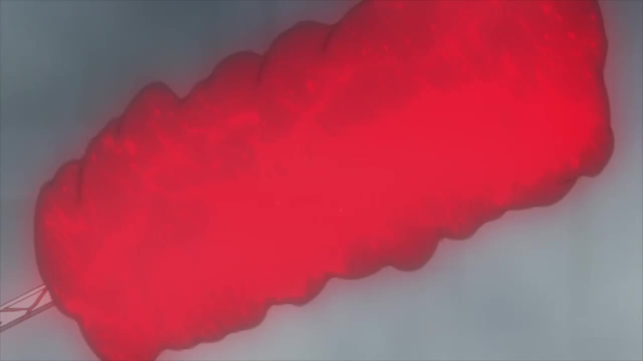 Tokyo Ghoul Episódio 11