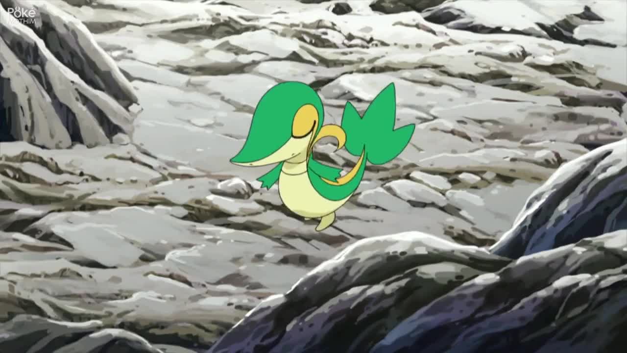 Pokémon The Series: Black & White Episódio 7