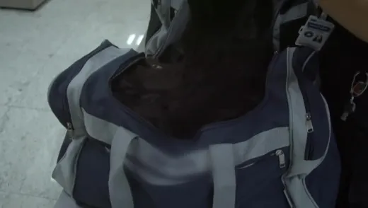 E6
