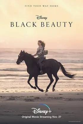 Beleza Negra: Uma Amizade Verdadeira - Filme grátis no Cinegato