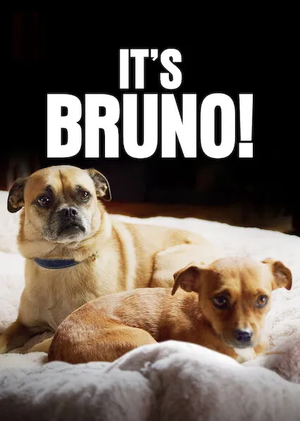 É o Bruno!