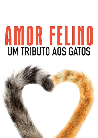 Para os Felinos que Amamos